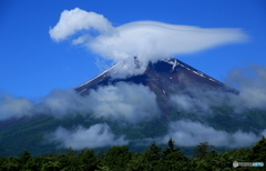 白いT-レックスが富士山で馬跳び