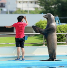 「アッチだっけ？」「いや、そっちじゃないでしょ」（出品用）