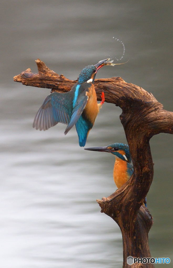 友達以上恋人未満Ⅸ