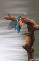 友達以上恋人未満Ⅸ