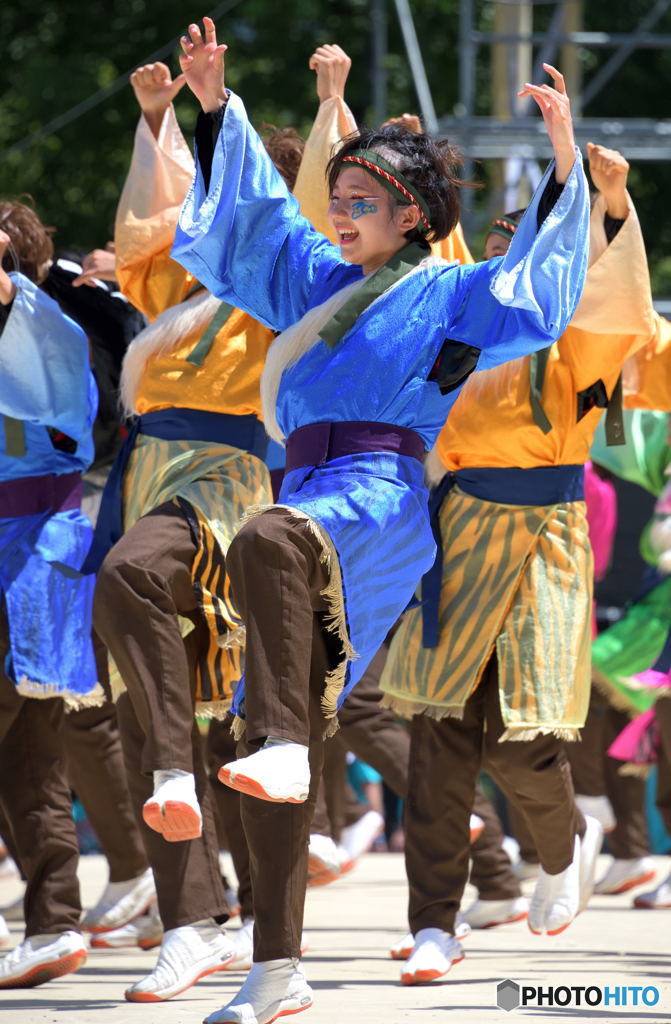 「第20回にっぽんど真ん中祭り」より㉙