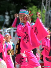 「第20回にっぽんど真ん中祭り」より㊴