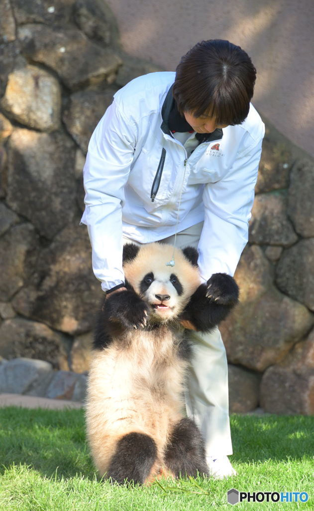 お姉さんと彩浜