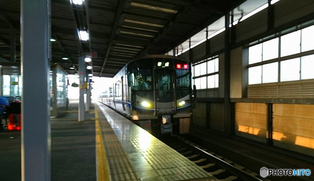 普通列車  敦賀行き