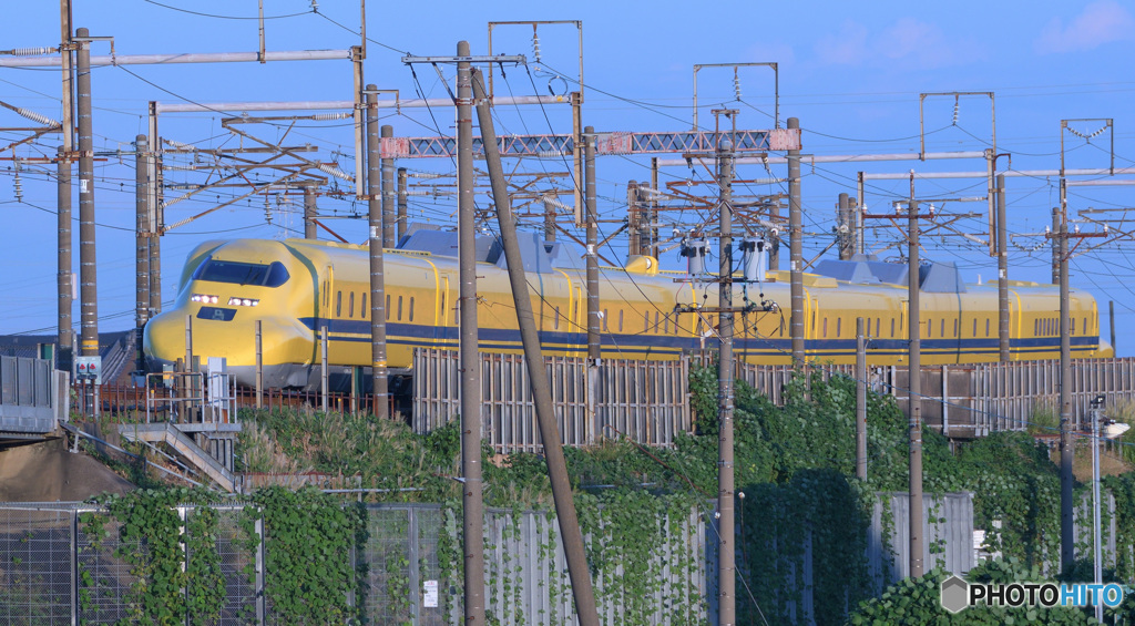 ドクターイエロー20241012