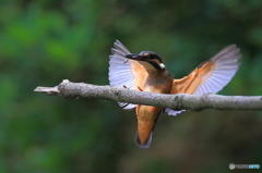 タッチダウン！Ⅱ