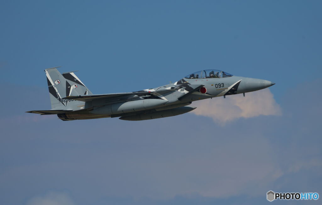 アグレッサー・ゼブラ