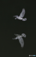 ゴキゲンなヤマちゃん