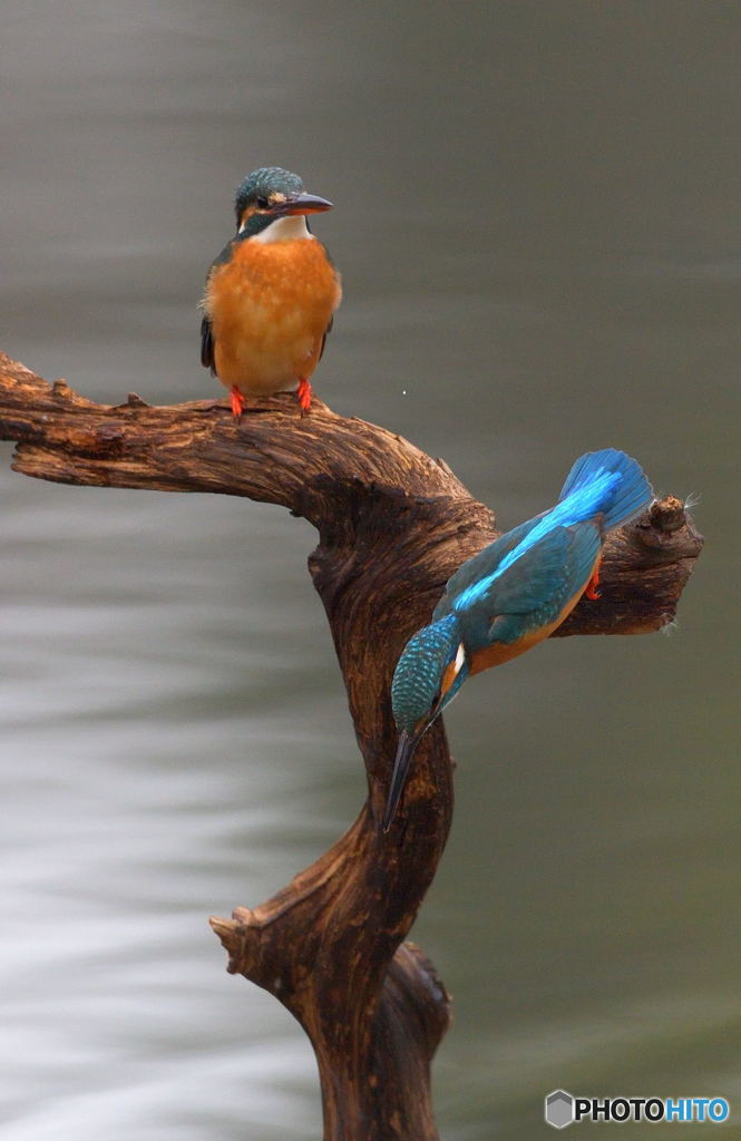 友達以上恋人未満ⅩⅢ