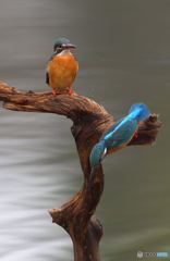 友達以上恋人未満ⅩⅢ