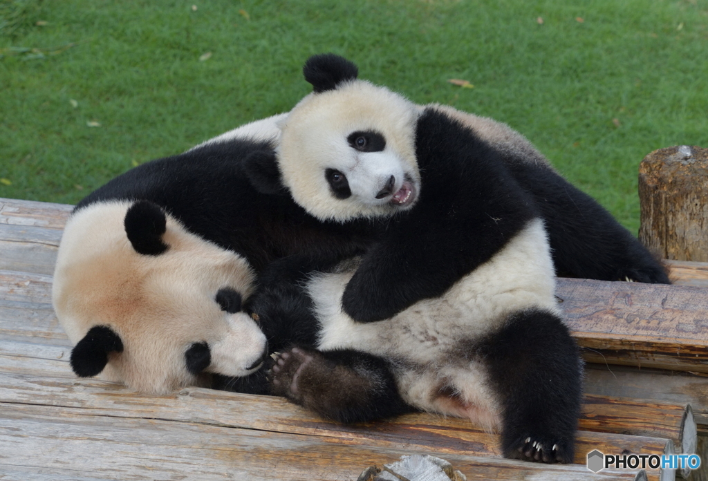 お母さんと一緒に③