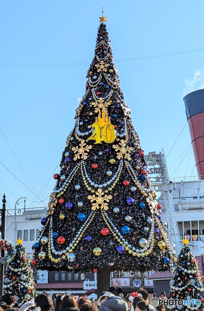 40周年のツリー