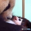 大事な我が子