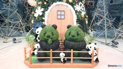 パンダがいっぱい