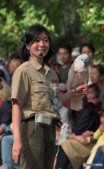 バードショウのお姉さん