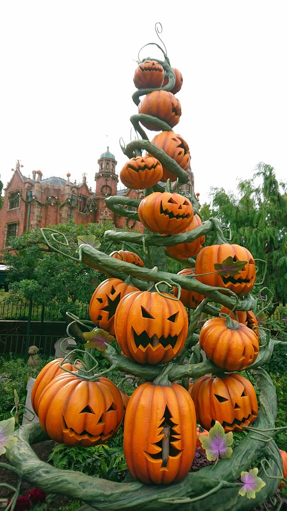 ハロウィン最後の日曜日