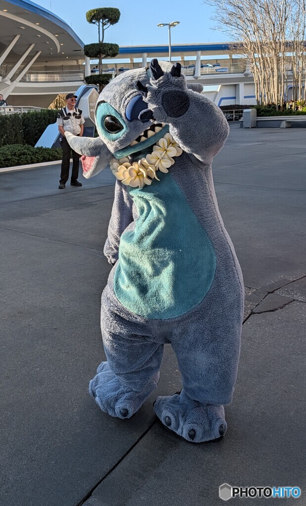 本日のStitch