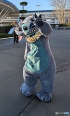 本日のStitch