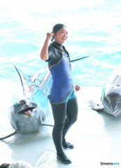 イルカショウのお姉さんⅡ