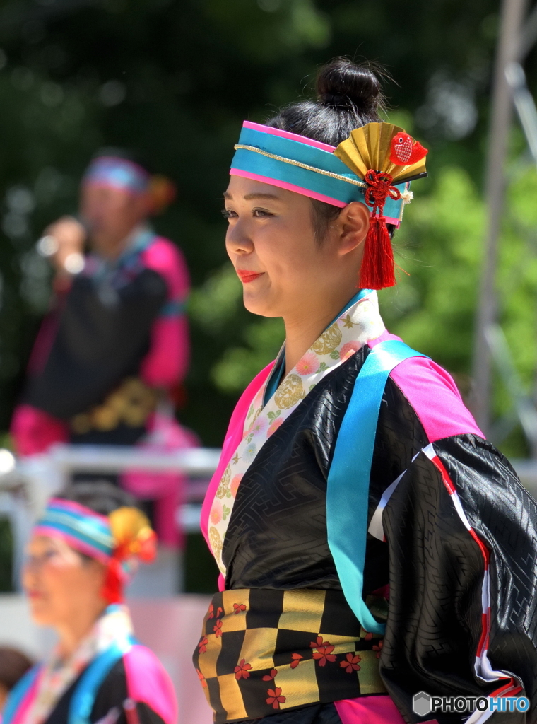 「第20回にっぽんど真ん中祭り」より㊱