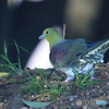 お尻ピン