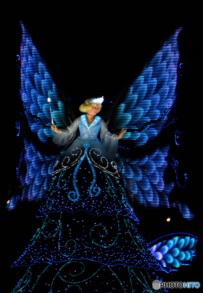 夜光蝶