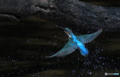 水浴びからの戻り
