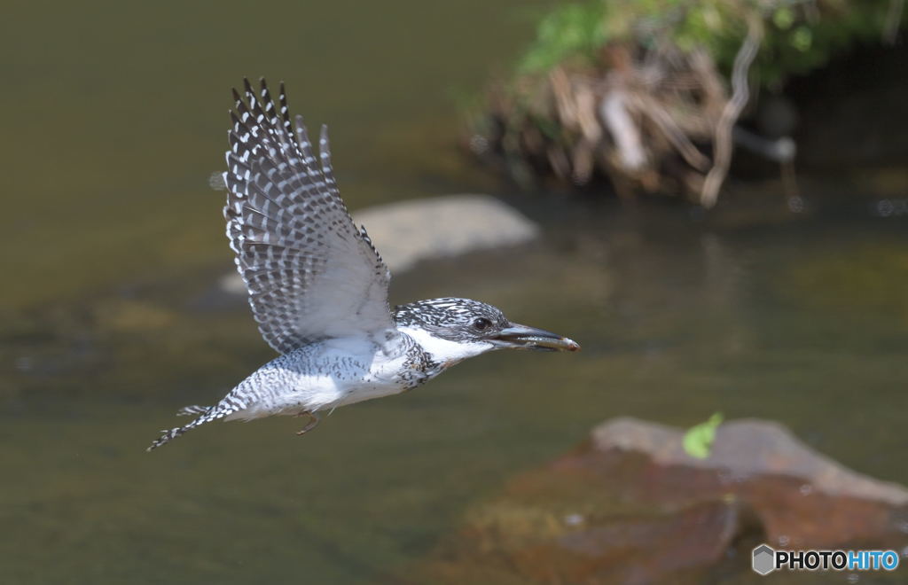 持って帰りま～す