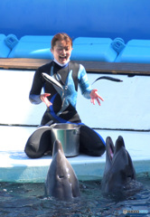 イルカとお姉さん