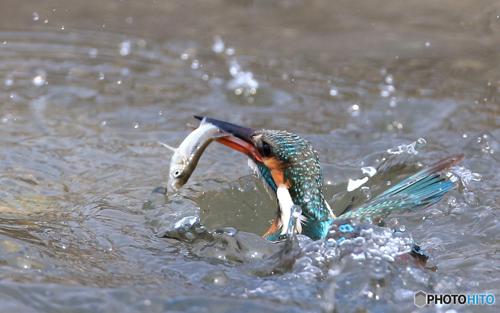 海女ちゃん(^_^;)