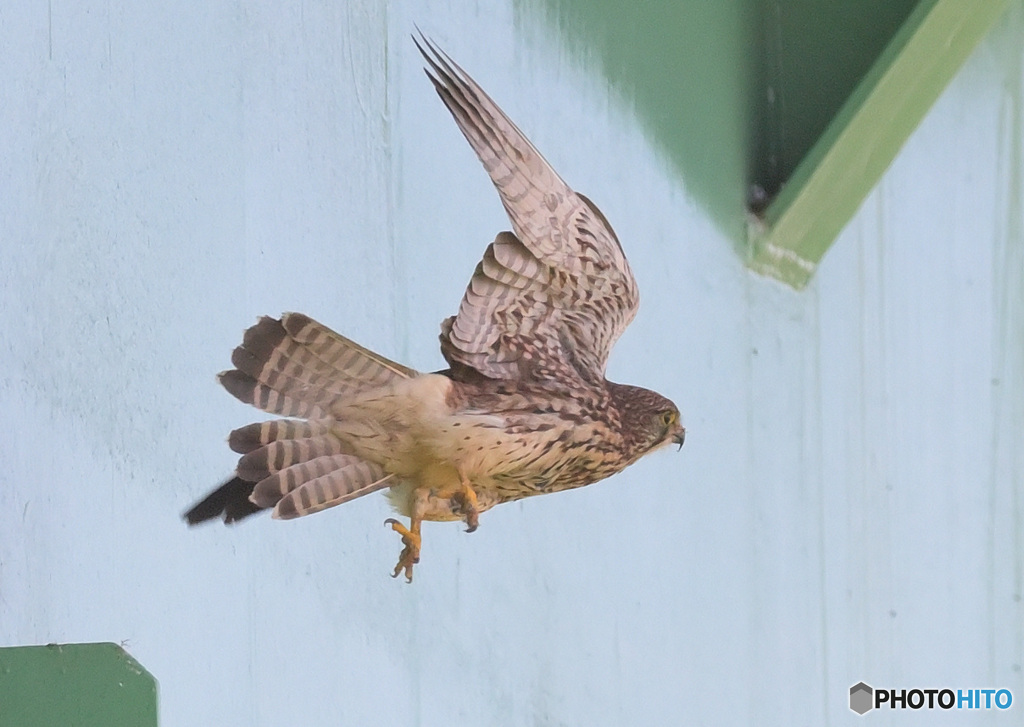 Take off！⑦