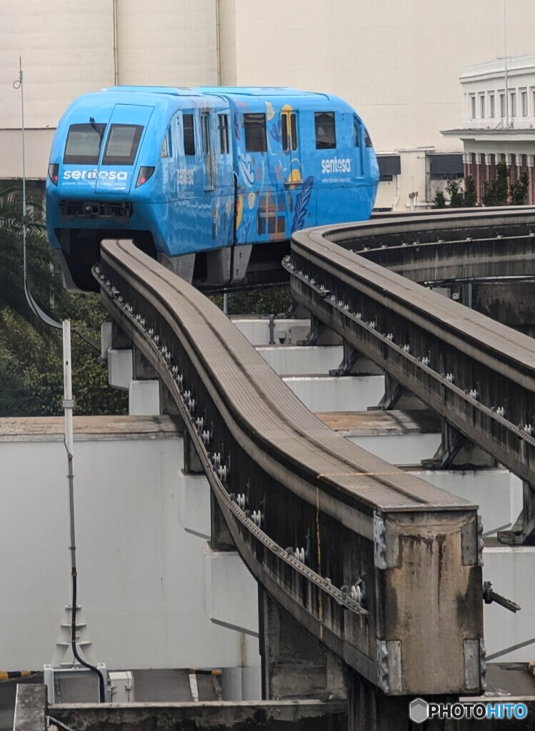 セントーサライン