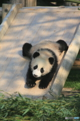 すべり台