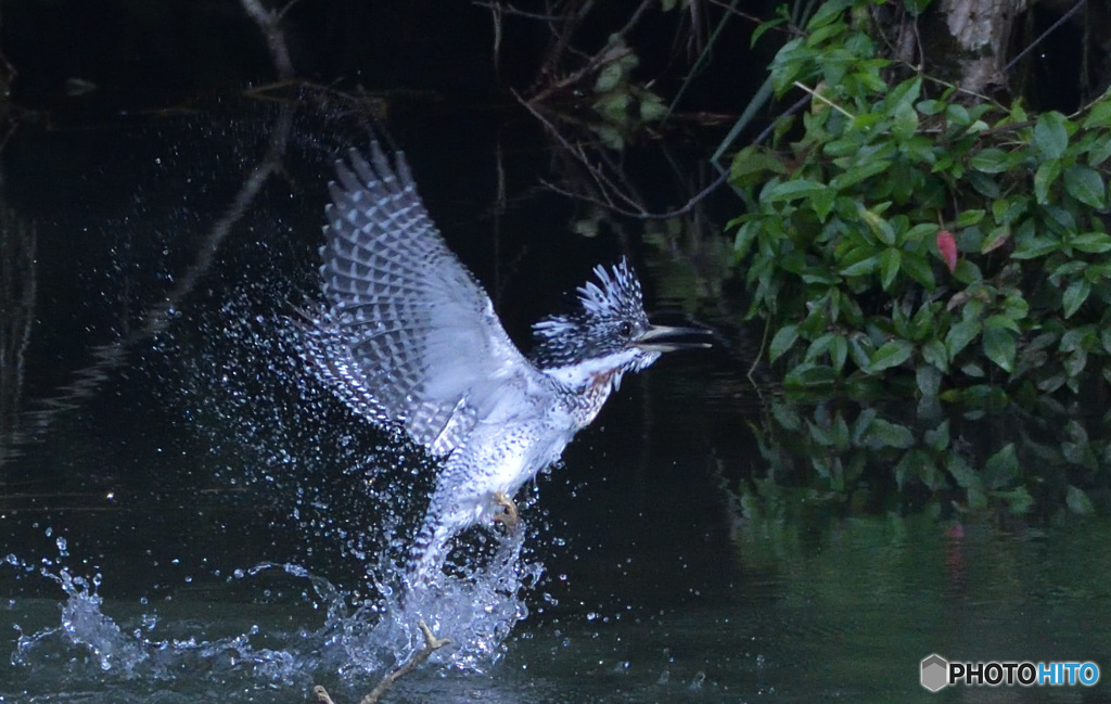 浮上！(20160925）