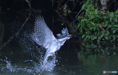 浮上！(20160925）