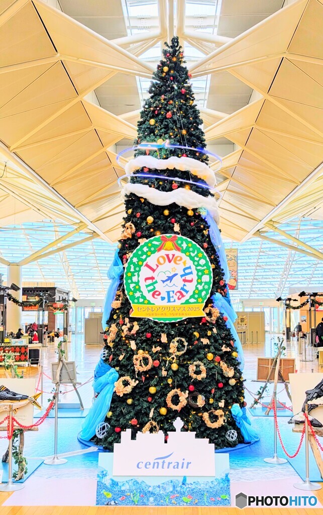 クリスマスツリー