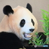 笹おいしい！