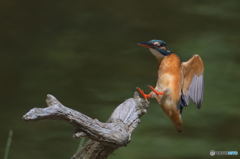 タッチダウンⅡ