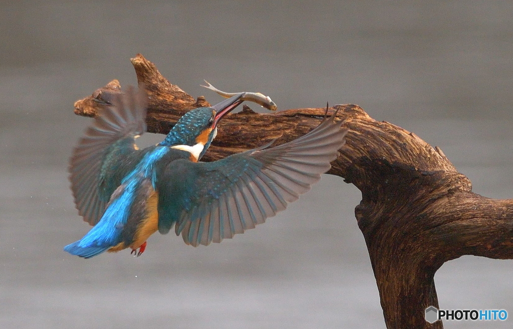 お土産つきで戻り