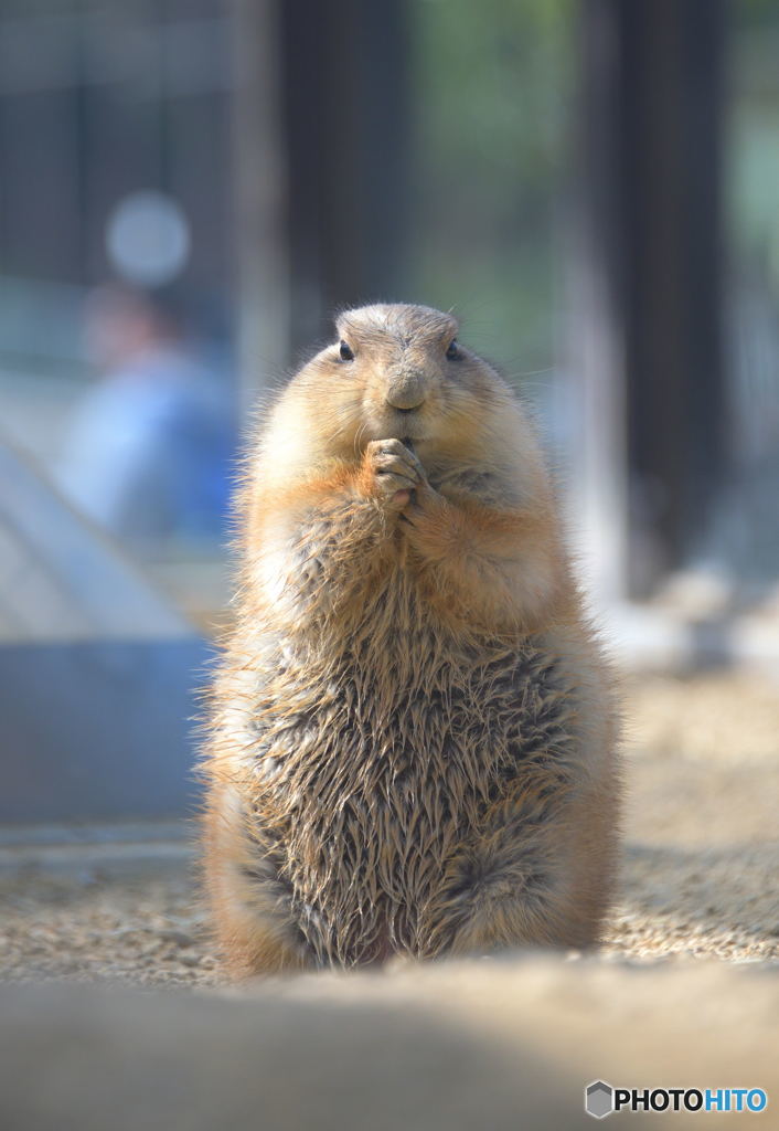 世界に平和が訪れますように！