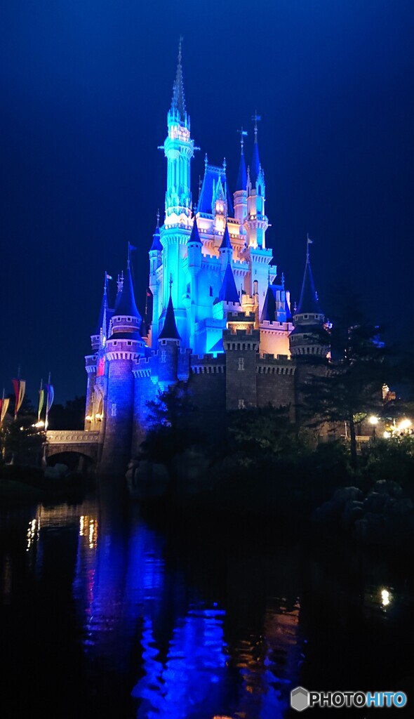 夜のシンデレラ城