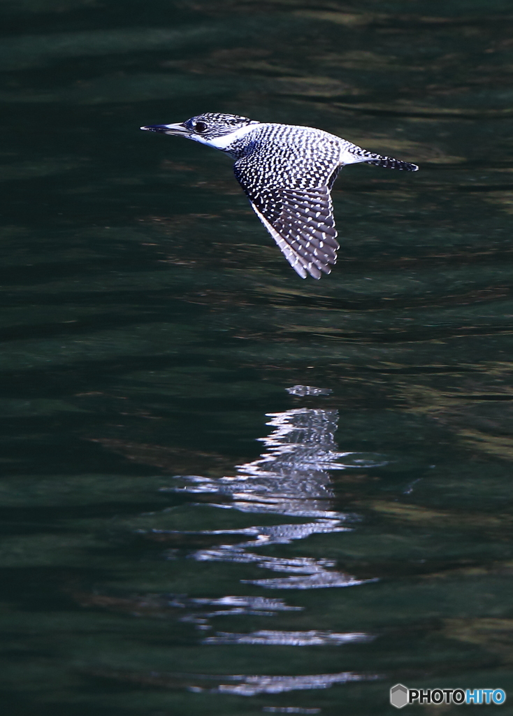 お正月のローパス