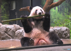 竹、ウマっ！