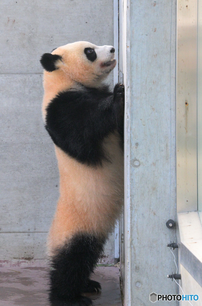 ねえ開けてぇ～