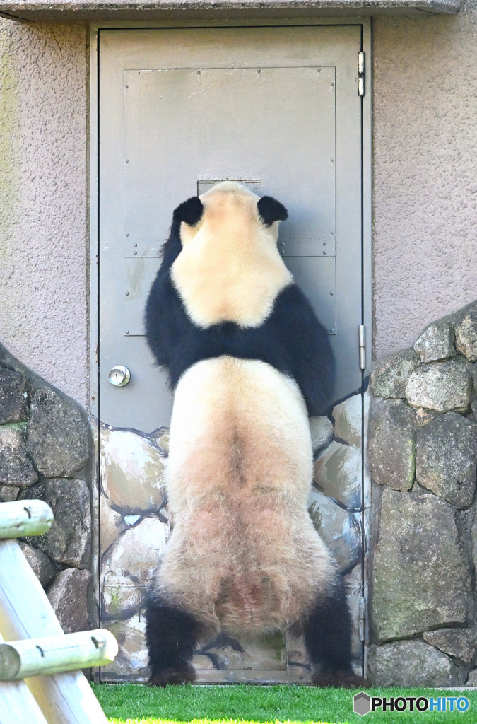 ちわ～三河屋で～す