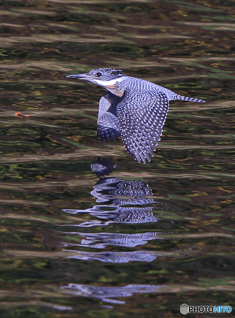 秋色の水面（あきいろのみなも）