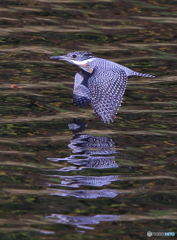秋色の水面（あきいろのみなも）