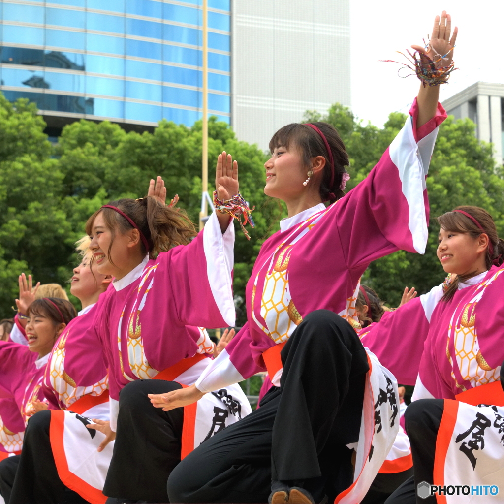 「第20回にっぽんど真ん中祭り」より㊲