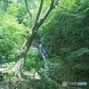 カフェの窓辺より