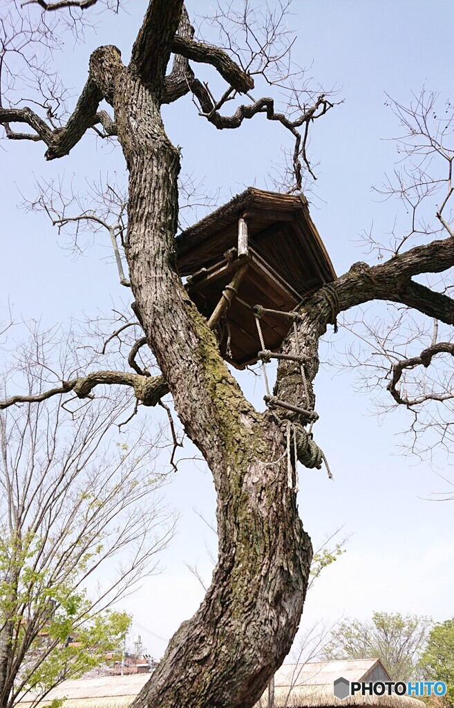 鬼太郎の家を発見